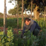 vino, gallinas y focas, mallorca, discapacidad ,agricultura ecológica